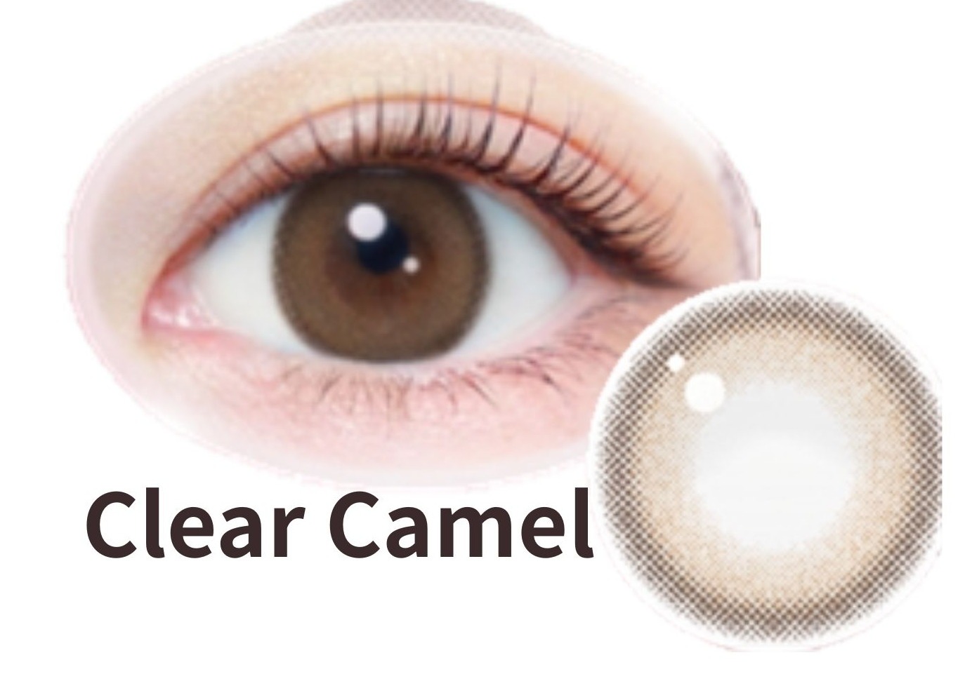 ClearCamel_W