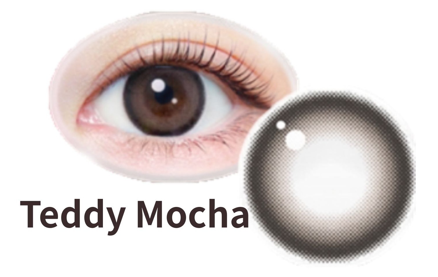 TeddyMocha